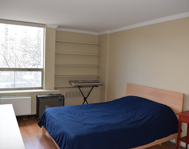 1360 N Sandburg Terrace - Photo Thumbnail 14