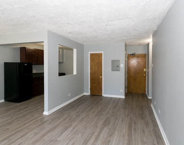 7333 N Ridge Boulevard - Photo Thumbnail 12