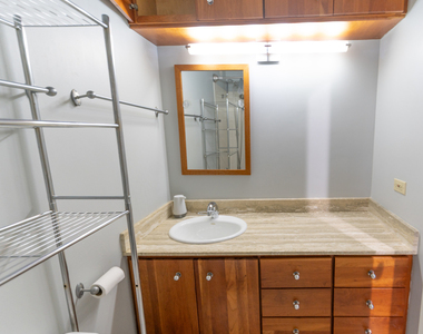 70 W Huron Street - Photo Thumbnail 21