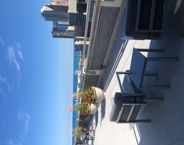 222 E Pearson Street - Photo Thumbnail 11