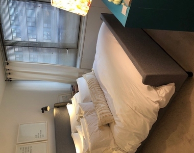 222 E Pearson Street - Photo Thumbnail 5