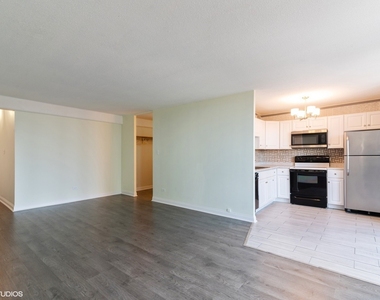 1340 N Dearborn Parkway - Photo Thumbnail 2