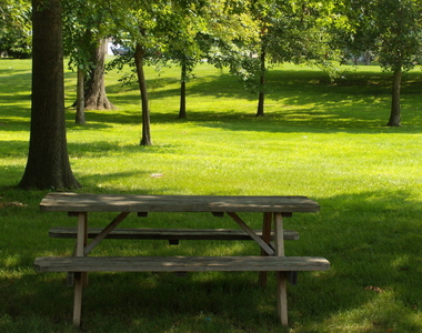 125 Acacia Circle - Photo Thumbnail 21