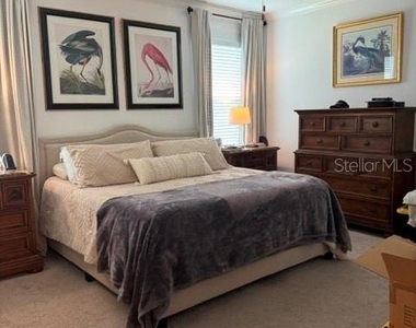17222 Mango Shay Court - Photo Thumbnail 4