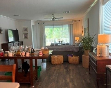 17222 Mango Shay Court - Photo Thumbnail 2