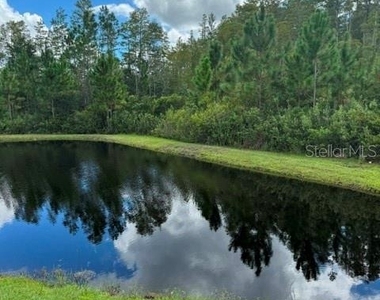 17222 Mango Shay Court - Photo Thumbnail 22