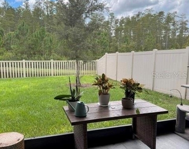 17222 Mango Shay Court - Photo Thumbnail 20