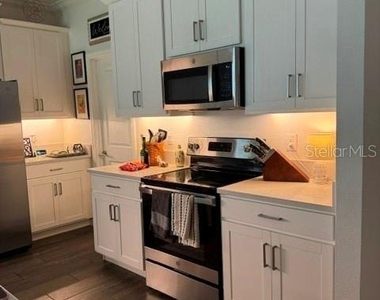 17222 Mango Shay Court - Photo Thumbnail 16