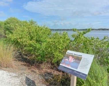 1020 Tidewater Shores Loop - Photo Thumbnail 64