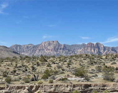 12608 Heritage Heights Drive - Photo Thumbnail 66
