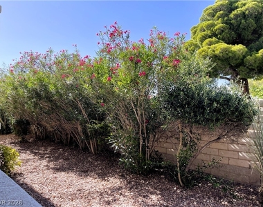 6820 San Ricardo Avenue - Photo Thumbnail 12