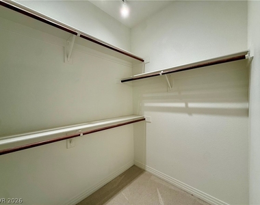 8729 Carlitas Joy Court - Photo Thumbnail 59