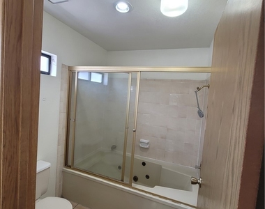 1321 Del Mar Street - Photo Thumbnail 28