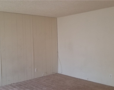 3995 Visby Lane - Photo Thumbnail 22