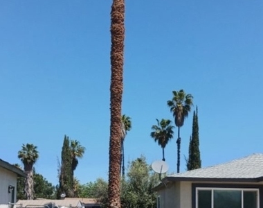 26397 Katharin Street - Photo Thumbnail 40