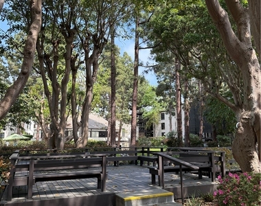 7742 Redlands Street - Photo Thumbnail 19