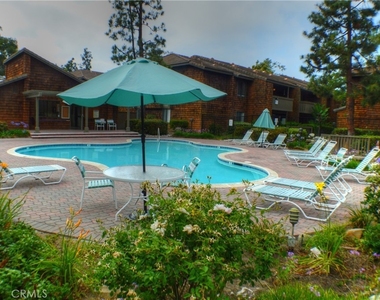 33852 Del Obispo Street - Photo Thumbnail 41