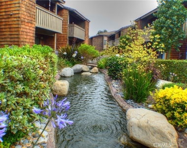 33852 Del Obispo Street - Photo Thumbnail 42