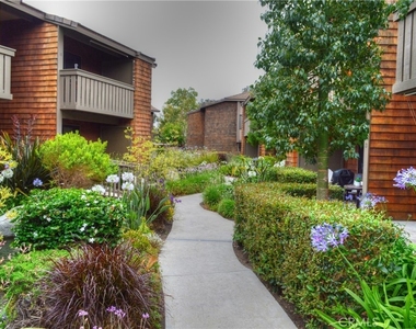 33852 Del Obispo Street - Photo Thumbnail 21