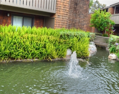 33852 Del Obispo Street - Photo Thumbnail 24