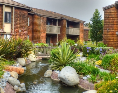 33852 Del Obispo Street - Photo Thumbnail 43