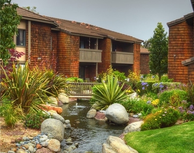 33852 Del Obispo Street - Photo Thumbnail 20