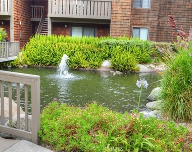33852 Del Obispo Street - Photo Thumbnail 22