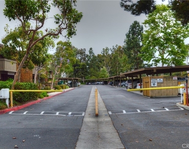 33852 Del Obispo Street - Photo Thumbnail 32