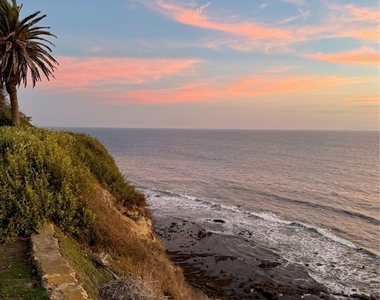 1106 W Paseo Del Mar - Photo Thumbnail 23