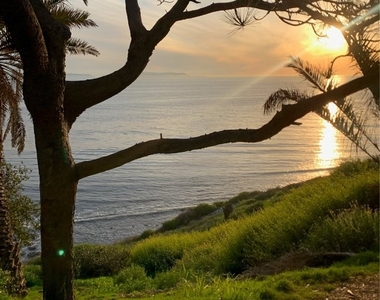1106 W Paseo Del Mar - Photo Thumbnail 25