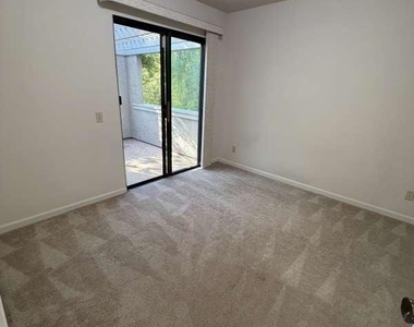 4709 Malero Place - Photo Thumbnail 24