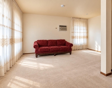 12 Balfour Street - Photo Thumbnail 4