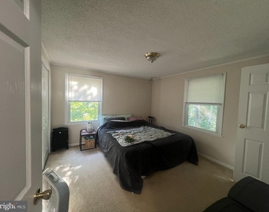 6024 Loriella Park Drive - Photo Thumbnail 13