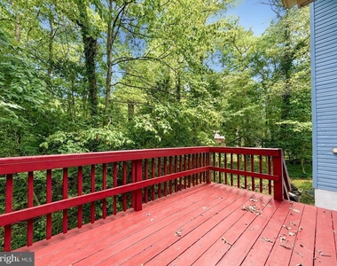44334 Ivy Stone Lane - Photo Thumbnail 48