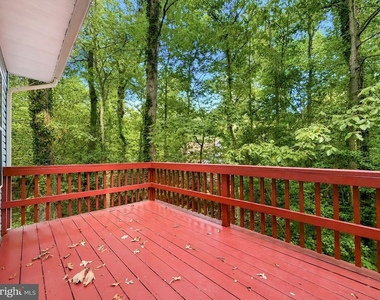 44334 Ivy Stone Lane - Photo Thumbnail 47