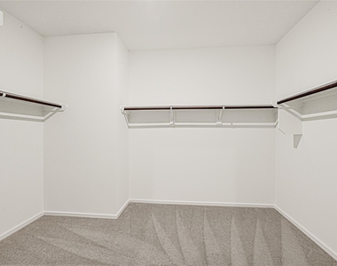 26415 Cedar Sedge Drive - Photo Thumbnail 22