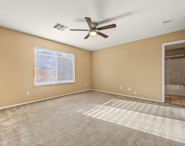 22462 N 107th Drive - Photo Thumbnail 15