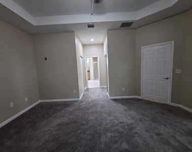 4321 Coquina Winds Way - Photo Thumbnail 65