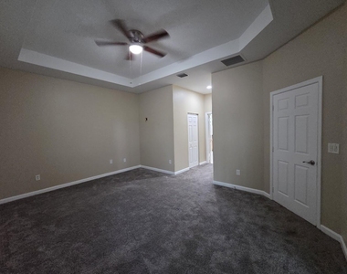 4321 Coquina Winds Way - Photo Thumbnail 19