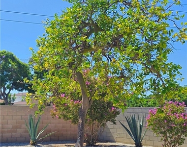 6001 Candlewood - Photo Thumbnail 29