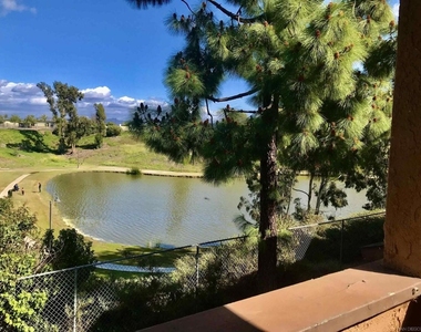 526 Calle Montecito - Photo Thumbnail 7