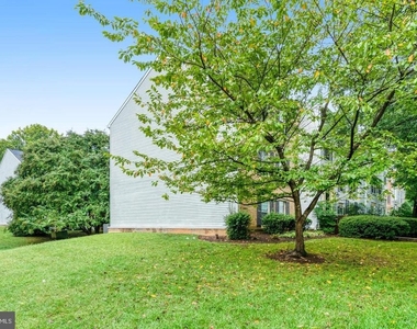 7729 Inversham Drive - Photo Thumbnail 35