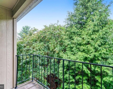 7729 Inversham Drive - Photo Thumbnail 33