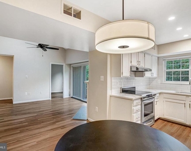 7729 Inversham Drive - Photo Thumbnail 11