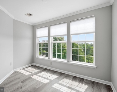 191 Somervelle Street - Photo Thumbnail 9