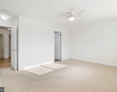 171 Vernon Court - Photo Thumbnail 12