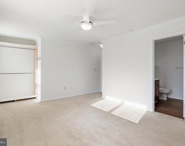 171 Vernon Court - Photo Thumbnail 13