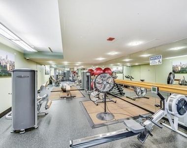 345 N La Salle Drive - Photo Thumbnail 27