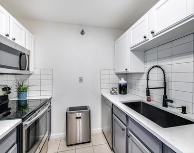345 N La Salle Drive - Photo Thumbnail 9