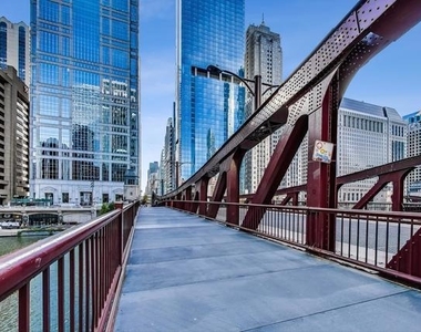 345 N La Salle Drive - Photo Thumbnail 30